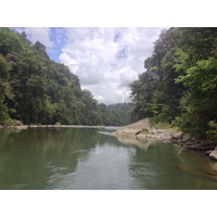 Picture Costa Rica Pacuare River 2015-03 124 - Rental Pacuare River