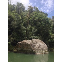 Picture Costa Rica Pacuare River 2015-03 146 - Night Pacuare River