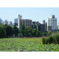 Picture Japan Tokyo Ueno 2010-06 78 - Street Ueno