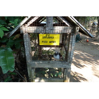 Picture Thailand Chiang Mai Mae Sa Snake Farm 2010-12 19 - Weather Mae Sa Snake Farm