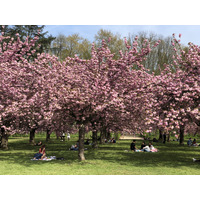 Picture France Parc de Sceaux 2019-04 64 - French Restaurant Parc de Sceaux