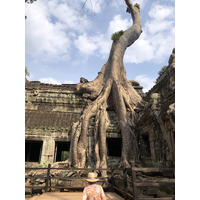 Picture Cambodia Siem Reap Ta Prohm 2023-01 74 - Summer Ta Prohm