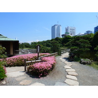 Picture Japan Tokyo Hama rikyu Gardens 2010-06 73 - Hot Season Hama rikyu Gardens