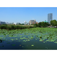 Picture Japan Tokyo Ueno 2010-06 62 - Lands Ueno