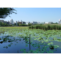 Picture Japan Tokyo Ueno 2010-06 69 - City View Ueno