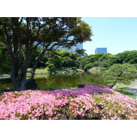 Picture Japan Tokyo Hama rikyu Gardens 2010-06 82 - Restaurant Hama rikyu Gardens