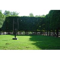 Picture France Paris Garden of Tuileries 2007-05 173 - Walking Street Garden of Tuileries