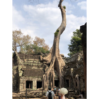 Picture Cambodia Siem Reap Ta Prohm 2023-01 111 - Walking Street Ta Prohm