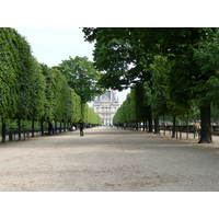 Picture France Paris Garden of Tuileries 2007-05 203 - Walking Street Garden of Tuileries