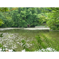 Picture Japan Kyoto Ryoanji Temple 2010-06 66 - Lands Ryoanji Temple