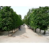 Picture France Paris Garden of Tuileries 2007-05 291 - Restaurants Garden of Tuileries