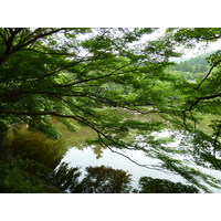 Picture Japan Kyoto Ryoanji Temple 2010-06 39 - Savings Ryoanji Temple