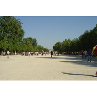 Picture France Paris Garden of Tuileries 2007-05 98 - Winter Garden of Tuileries