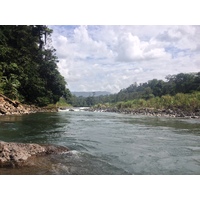 Picture Costa Rica Pacuare River 2015-03 156 - Spring Pacuare River