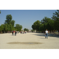 Picture France Paris Garden of Tuileries 2007-05 259 - Saving Garden of Tuileries