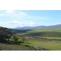 Picture South Africa Harmanus to Knysna road 2008-09 150 - City Harmanus to Knysna road