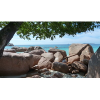 Picture Seychelles Anse Lazio 2011-10 105 - Saving Anse Lazio