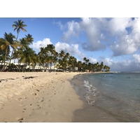 Picture Guadeloupe La Caravelle Beach 2021-02 122 - City Sights La Caravelle Beach