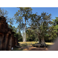 Picture Cambodia Siem Reap ⁨Banteay Srei⁩ 2023-01 49 - Spring ⁨Banteay Srei⁩