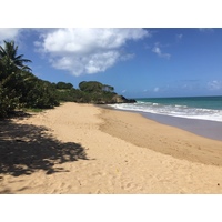 Picture Guadeloupe Deshaies 2021-02 1 - Savings Deshaies