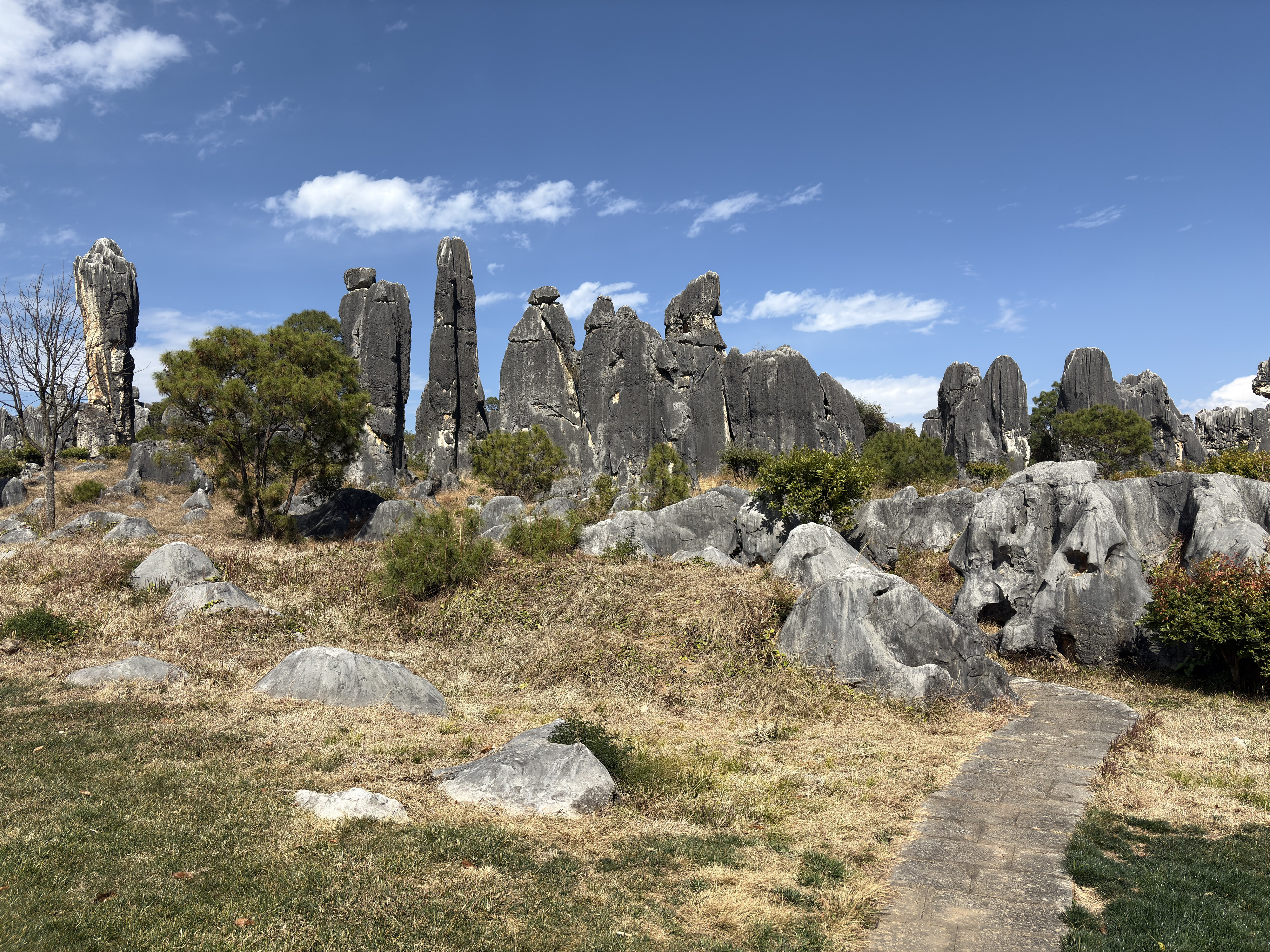 Picture China Shilin Stone Forest 2026-01 206 - Tours Shilin Stone Forest