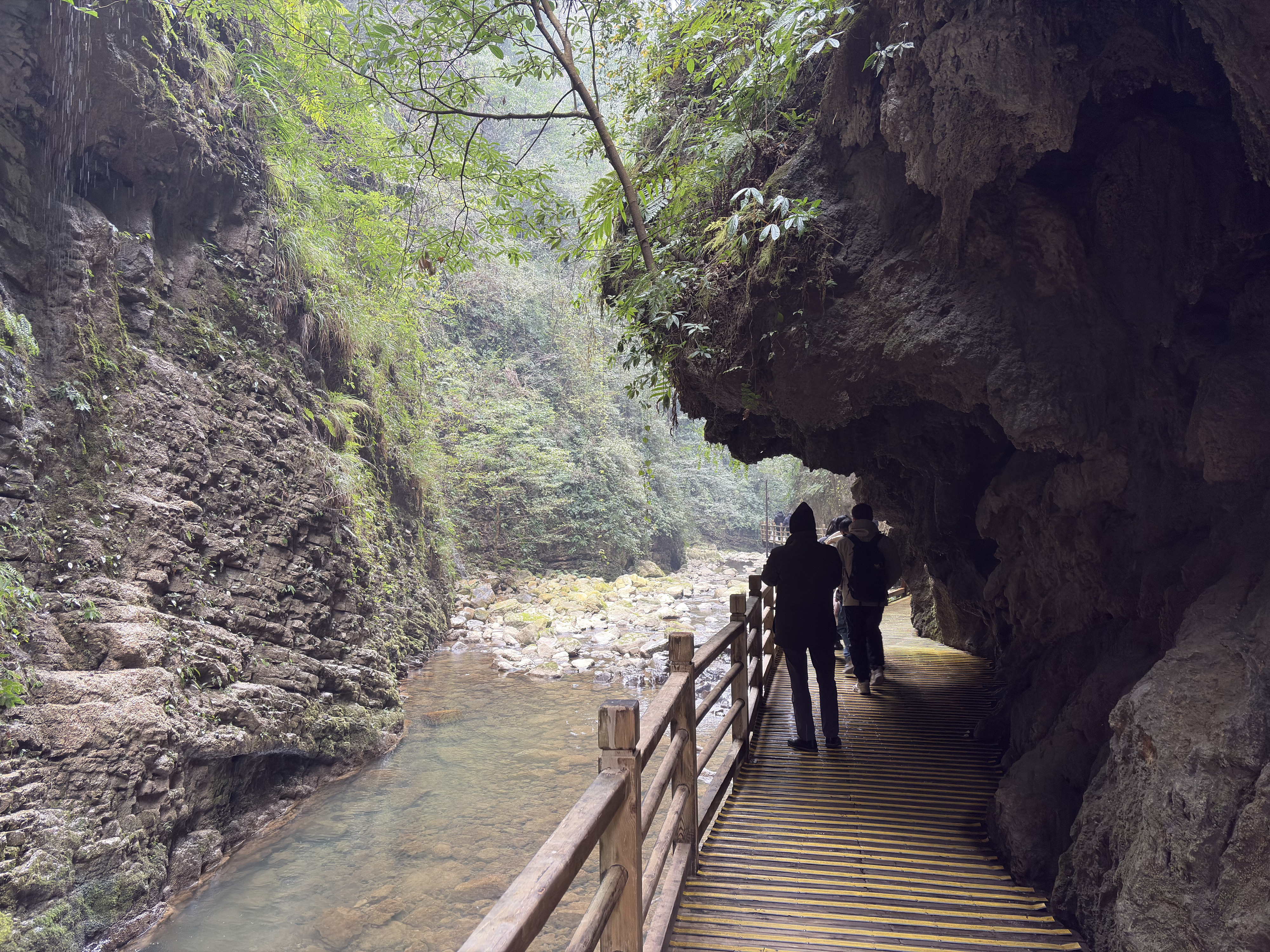 Picture China Zhangjiajie Grand Canion 2026-01 8 - History Grand Canion