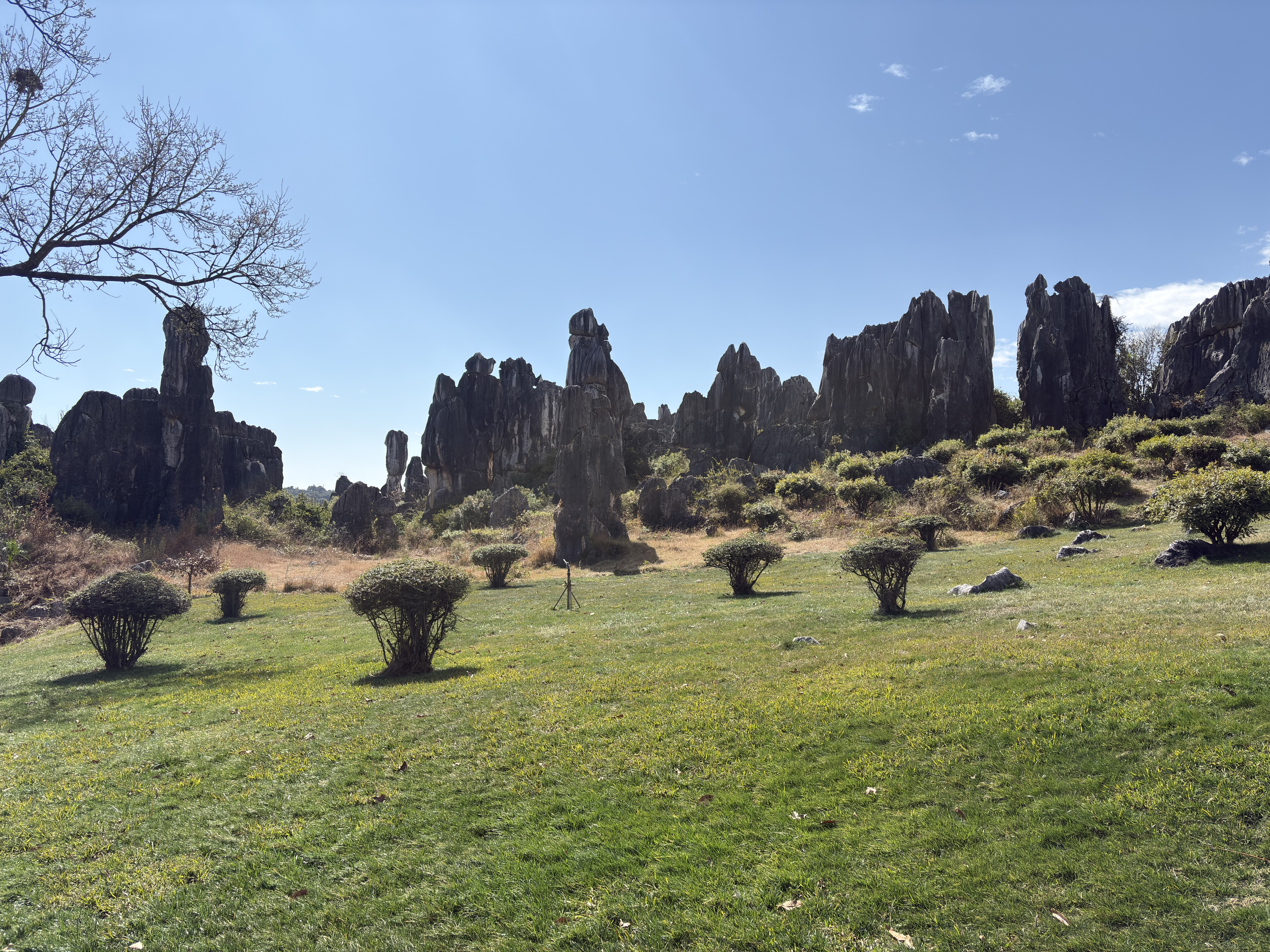 Picture China Shilin Stone Forest 2026-01 131 - Tours Shilin Stone Forest