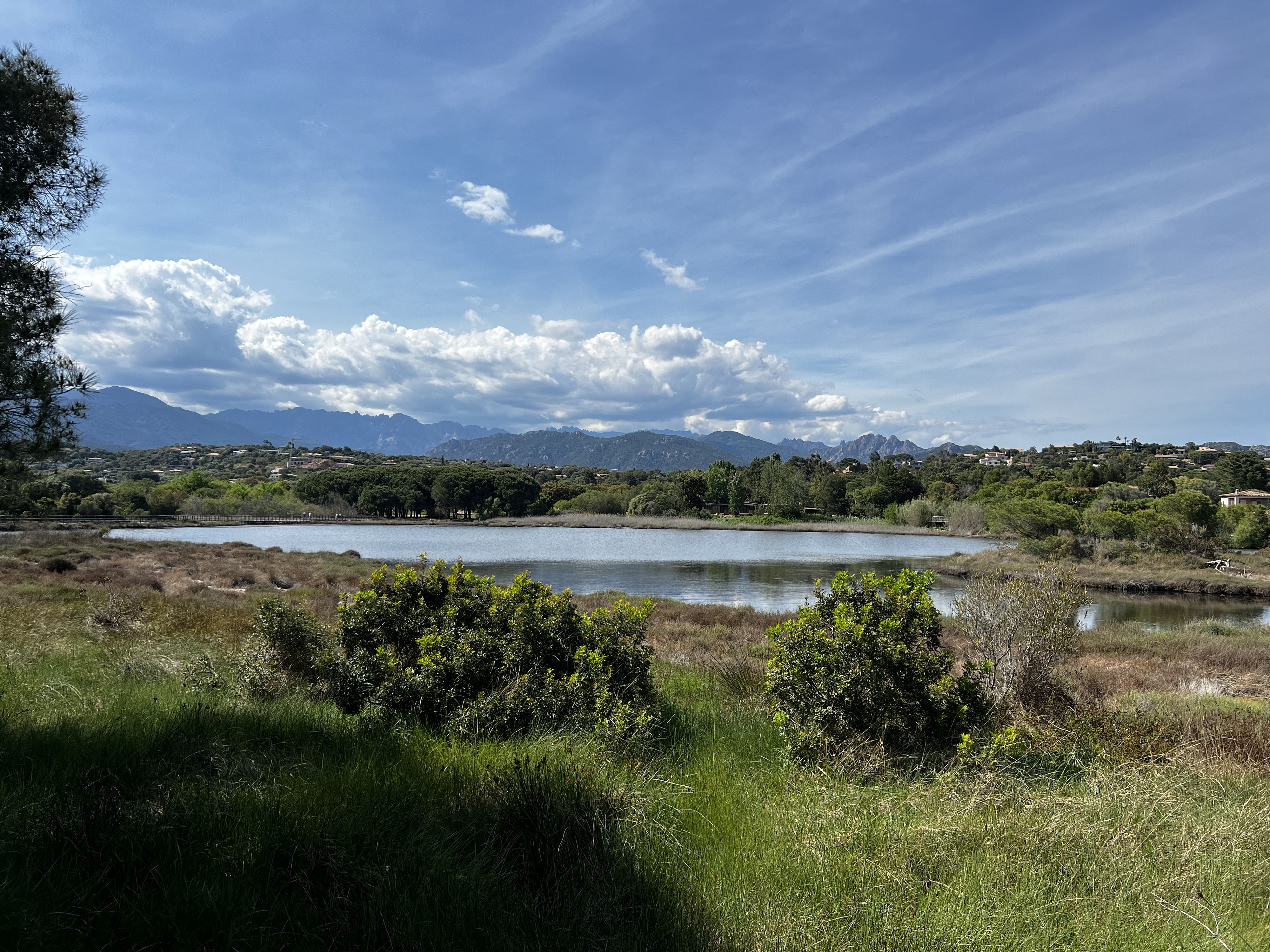 Picture France Corsica Pinarellu Beach 2024-05 34 - Discovery Pinarellu Beach