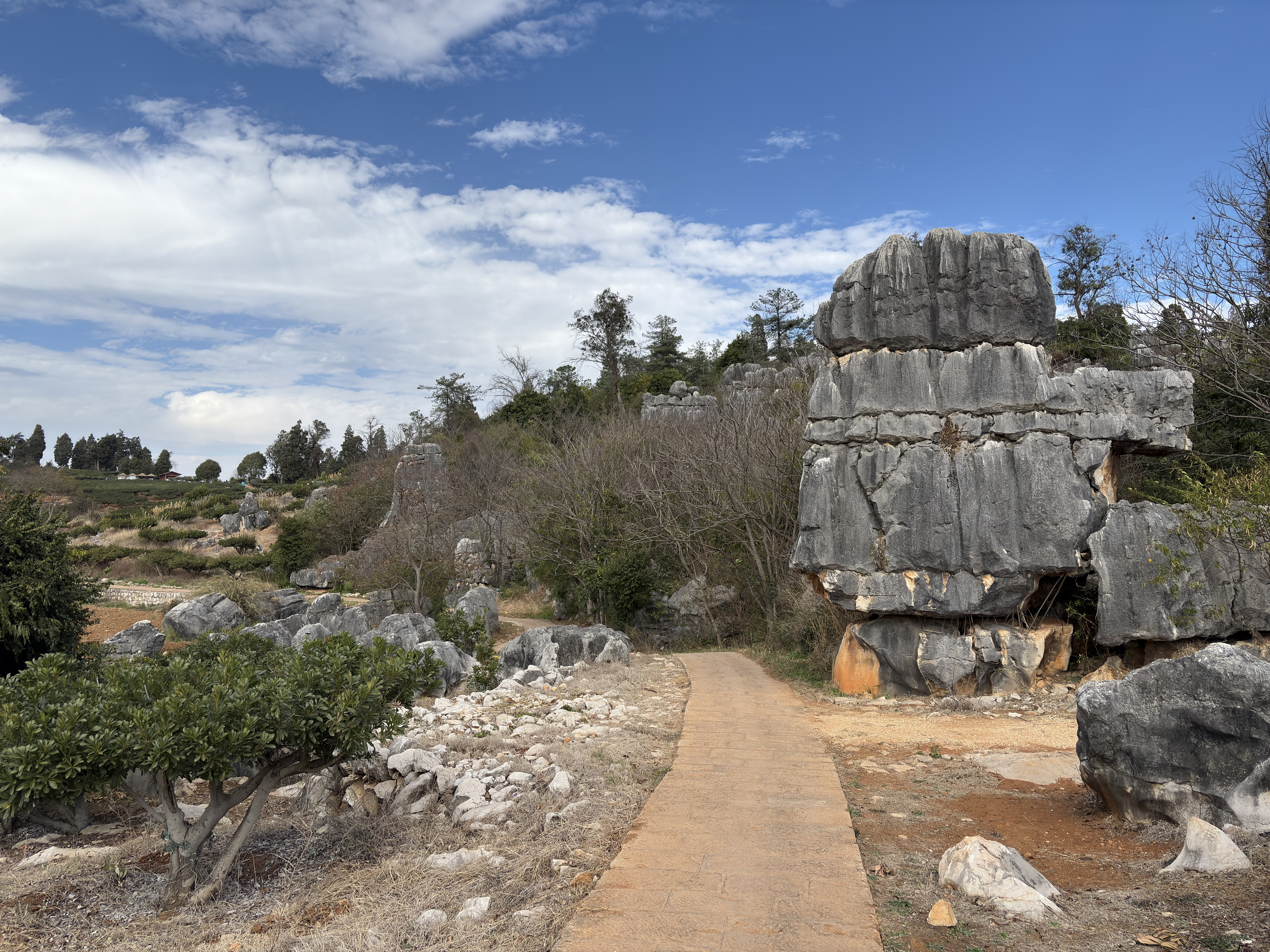 Picture China Shilin Stone Forest 2026-01 334 - Discovery Shilin Stone Forest