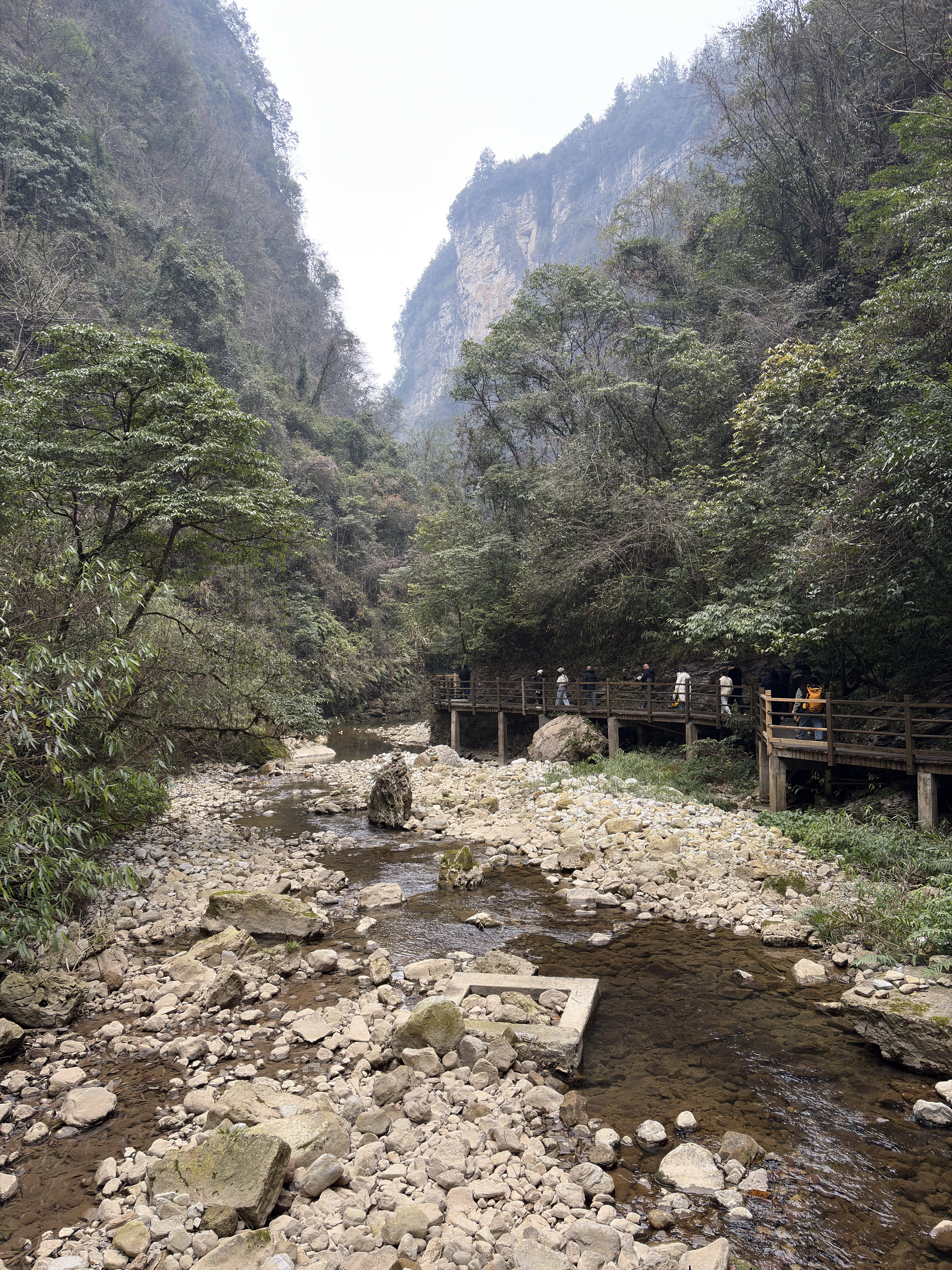 Picture China Zhangjiajie Grand Canion 2026-01 45 - Tours Grand Canion