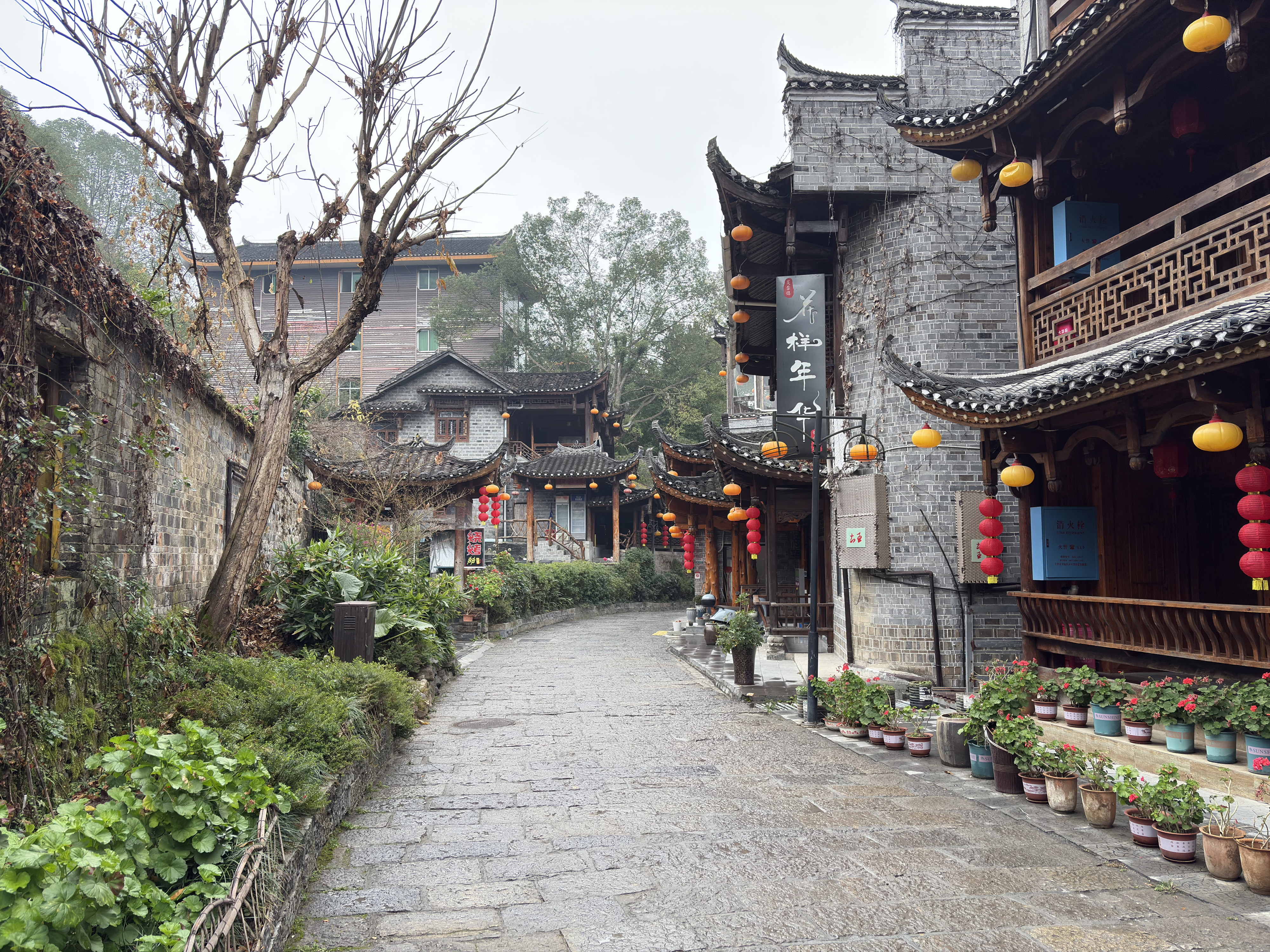 Picture China Furong Ancient Town 2026-01 98 - Tour Furong Ancient Town
