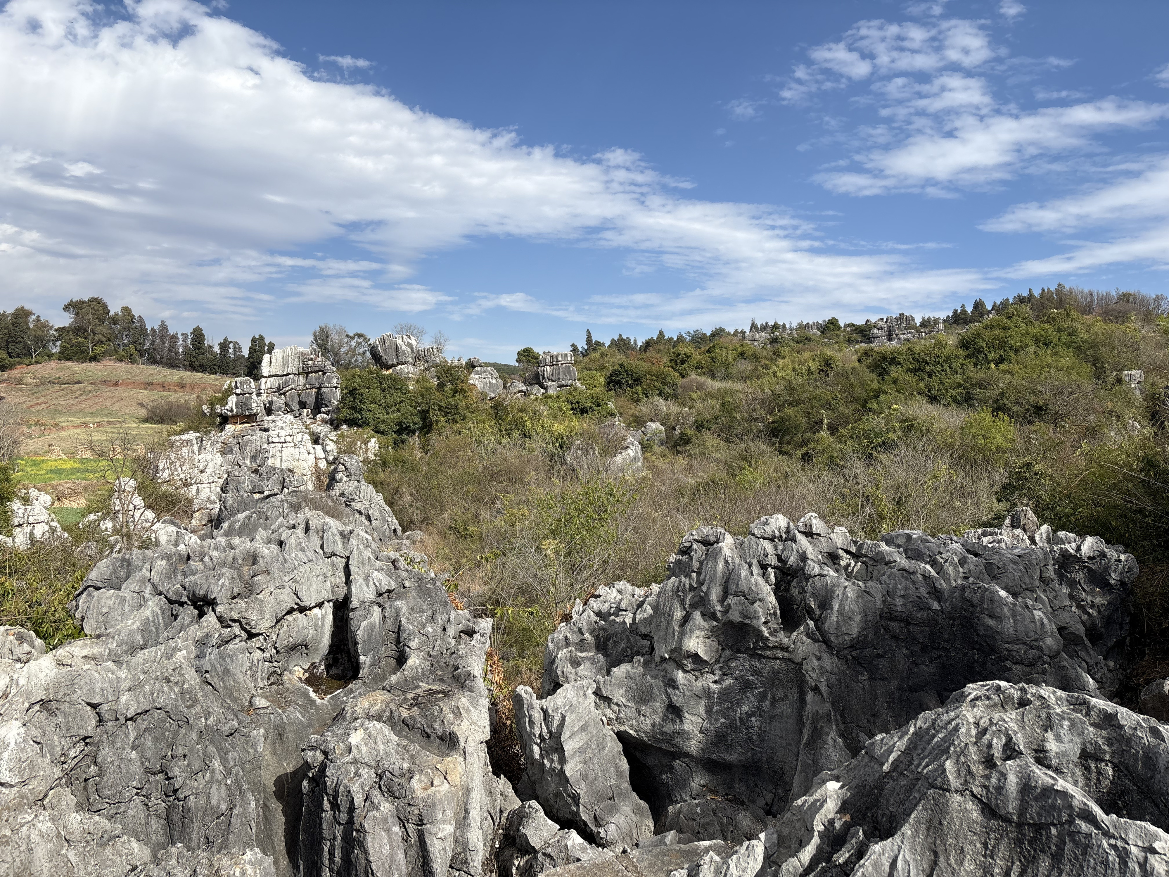 Picture China Shilin Stone Forest 2026-01 81 - Center Shilin Stone Forest