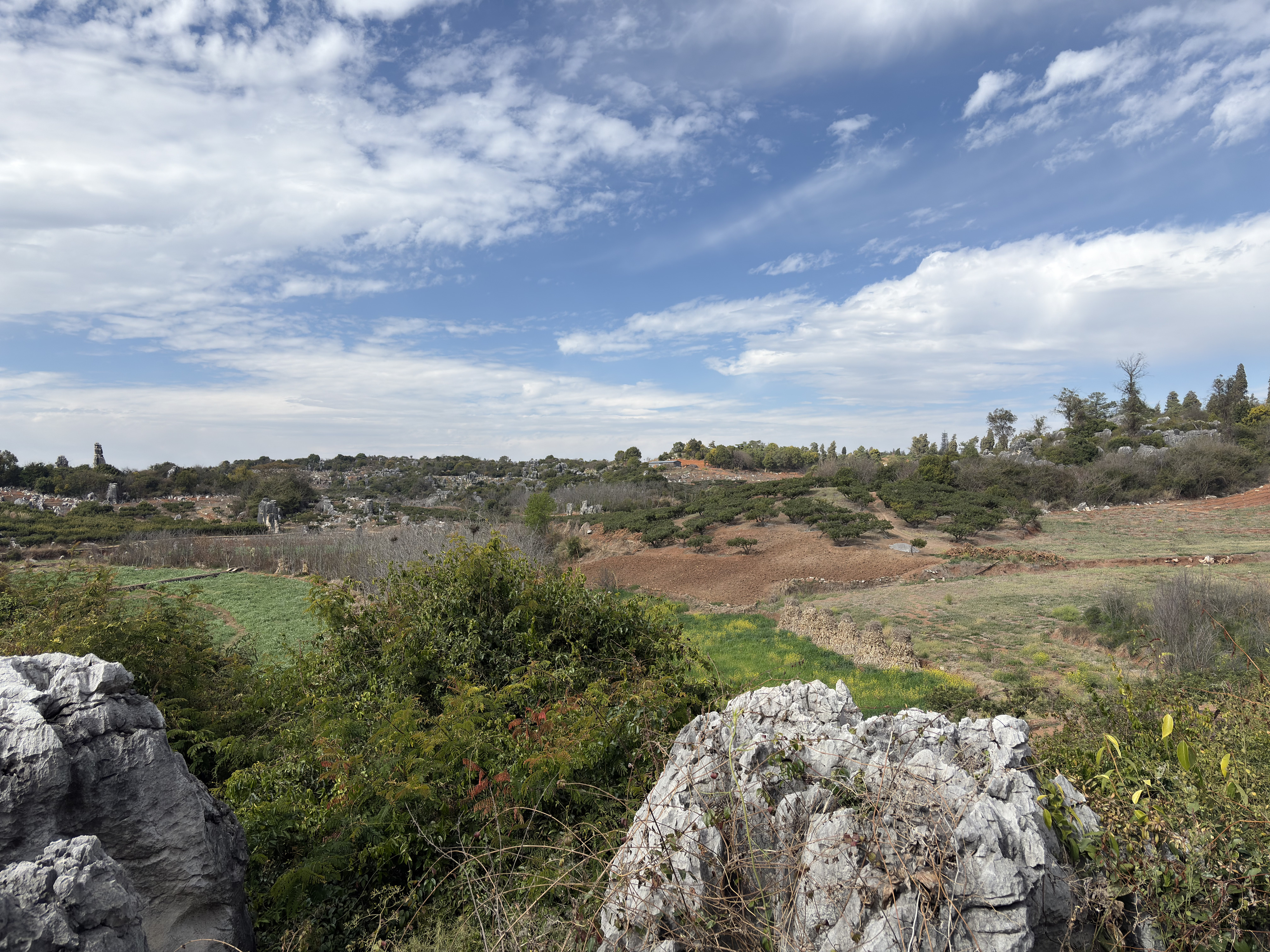Picture China Shilin Stone Forest 2026-01 22 - Discovery Shilin Stone Forest