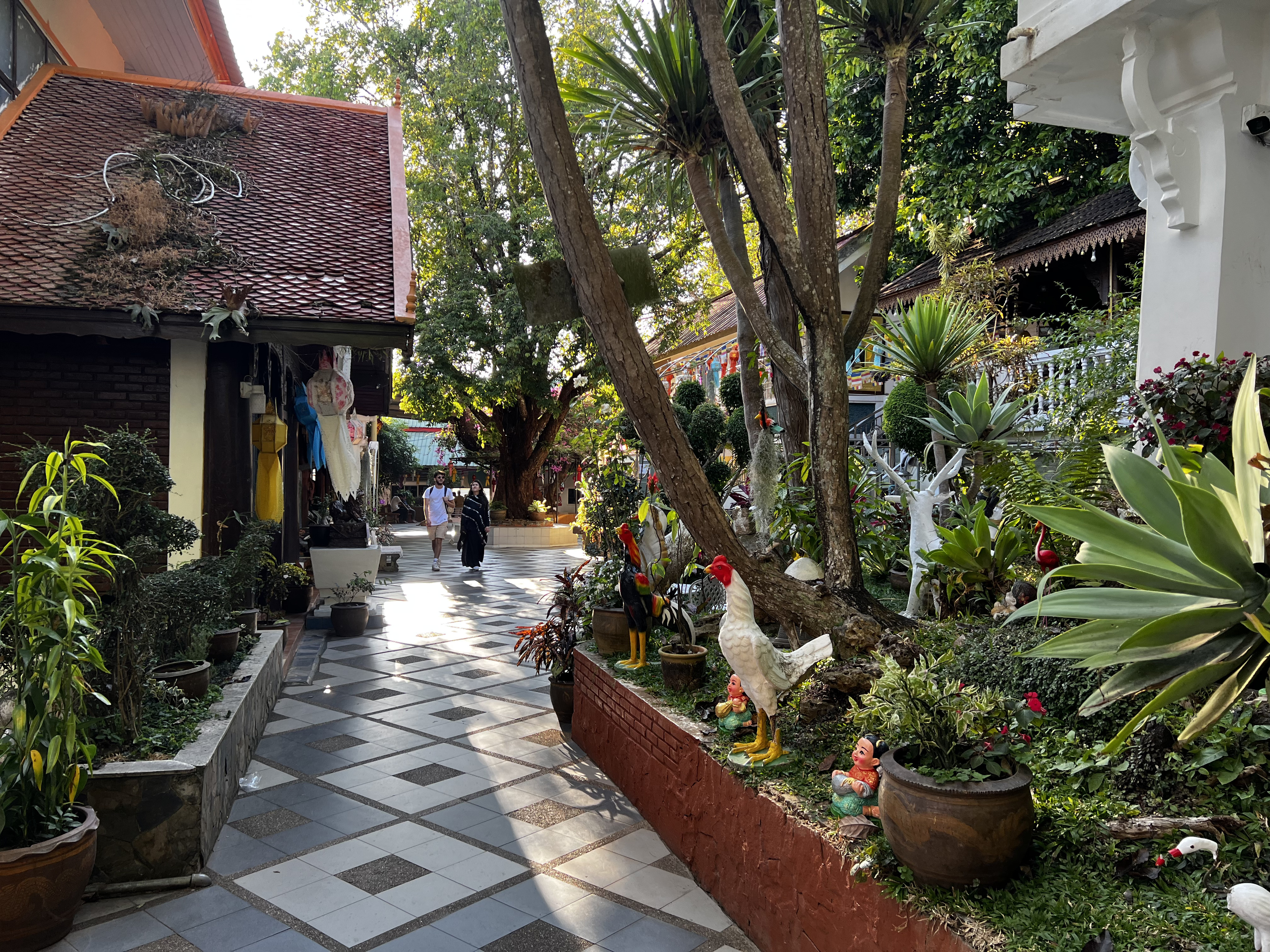 Picture Thailand Chiang Mai Doi Suthep 2024-01 27 - History Doi Suthep