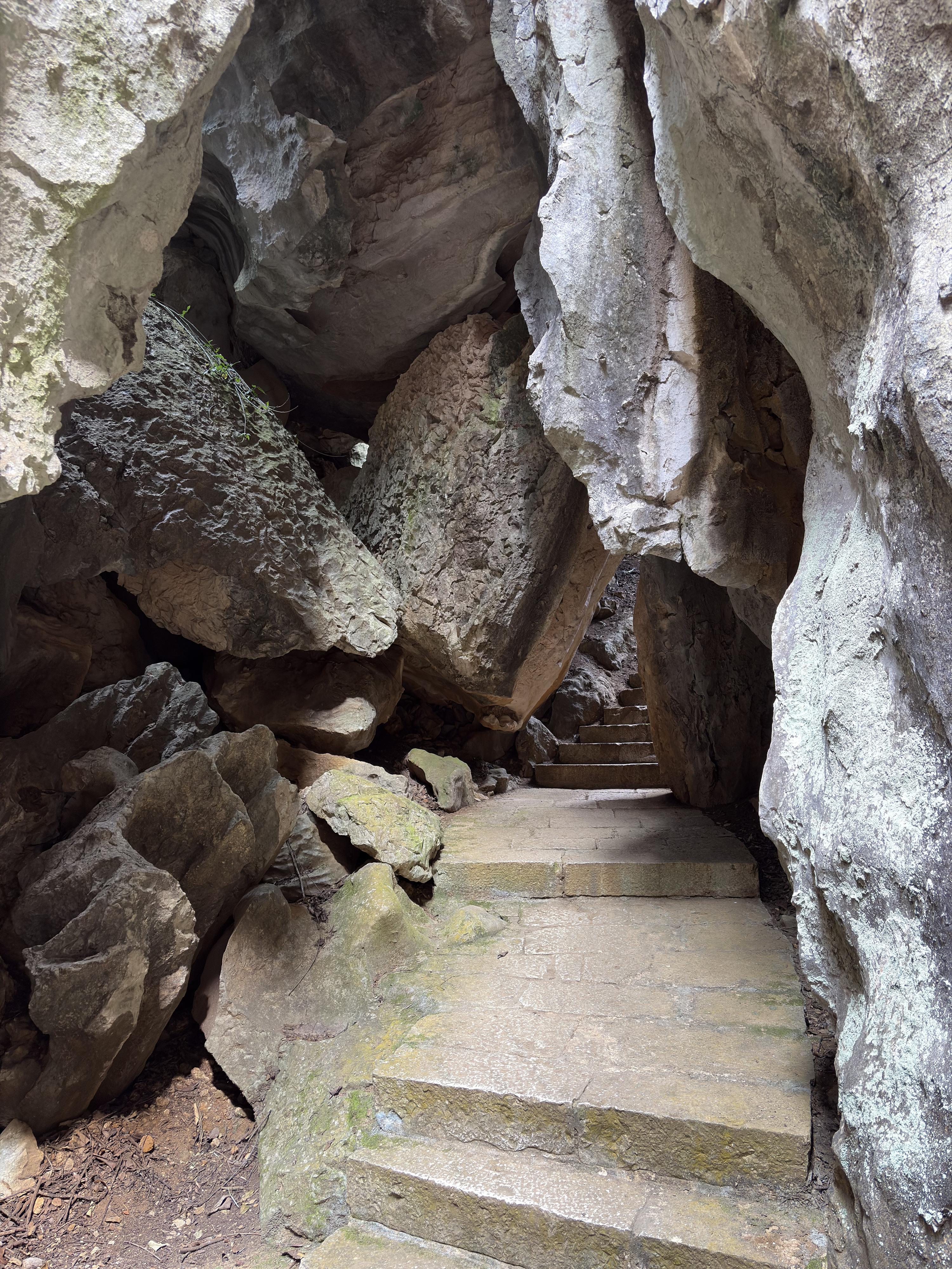 Picture China Shilin Stone Forest 2026-01 42 - Tours Shilin Stone Forest