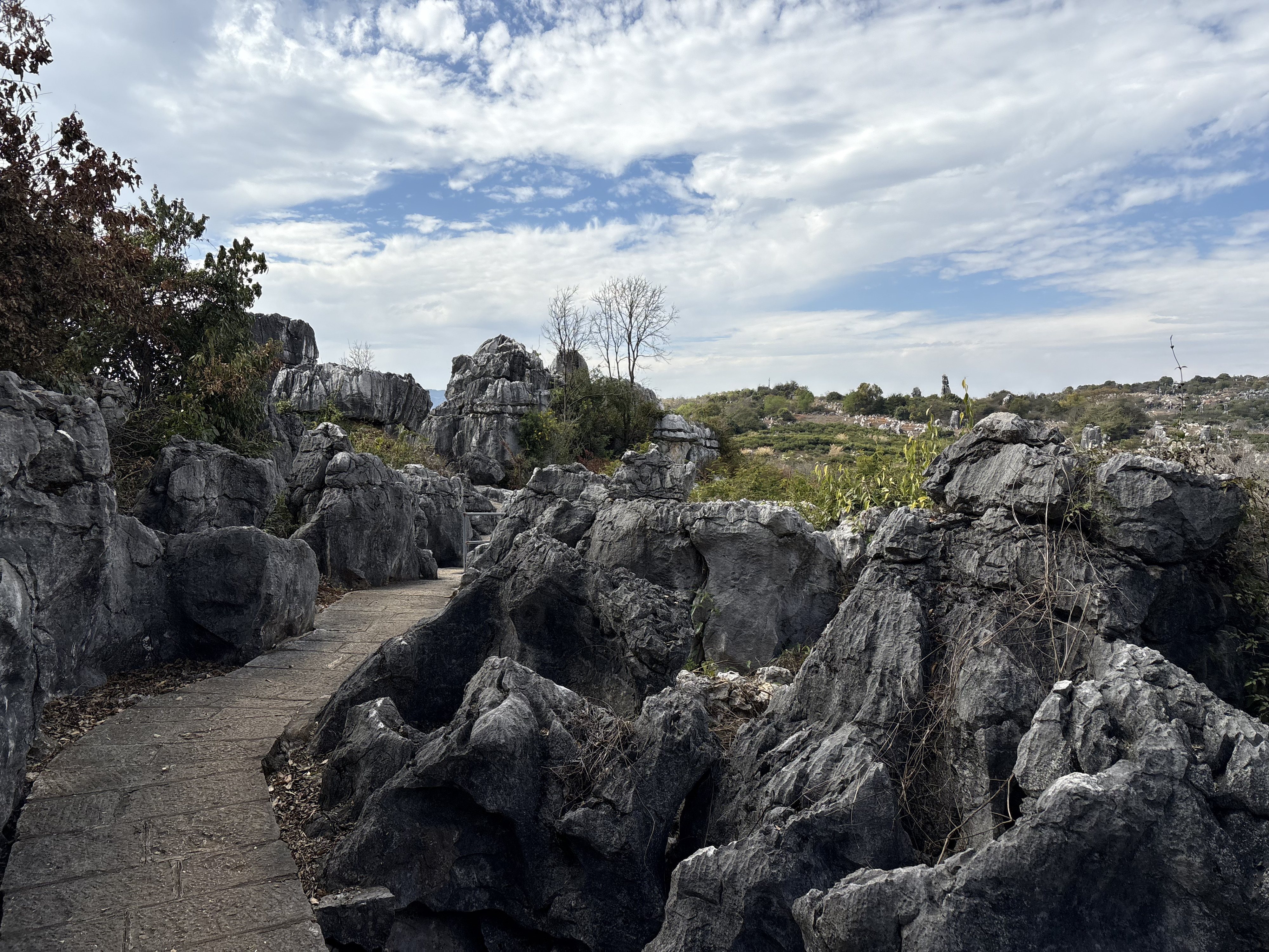 Picture China Shilin Stone Forest 2026-01 70 - Center Shilin Stone Forest