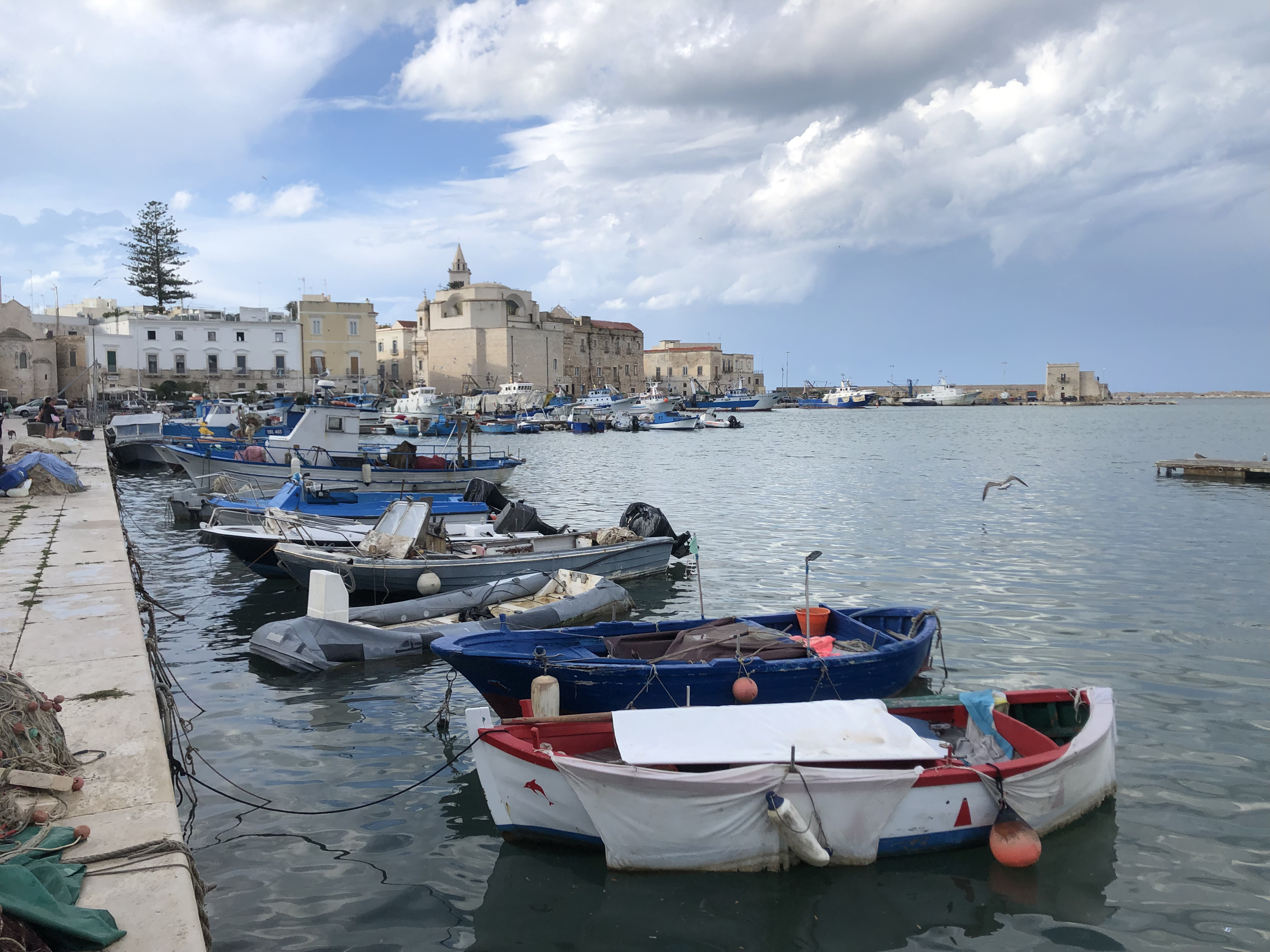 Picture Italy Trani 2024-09 105 - Discovery Trani