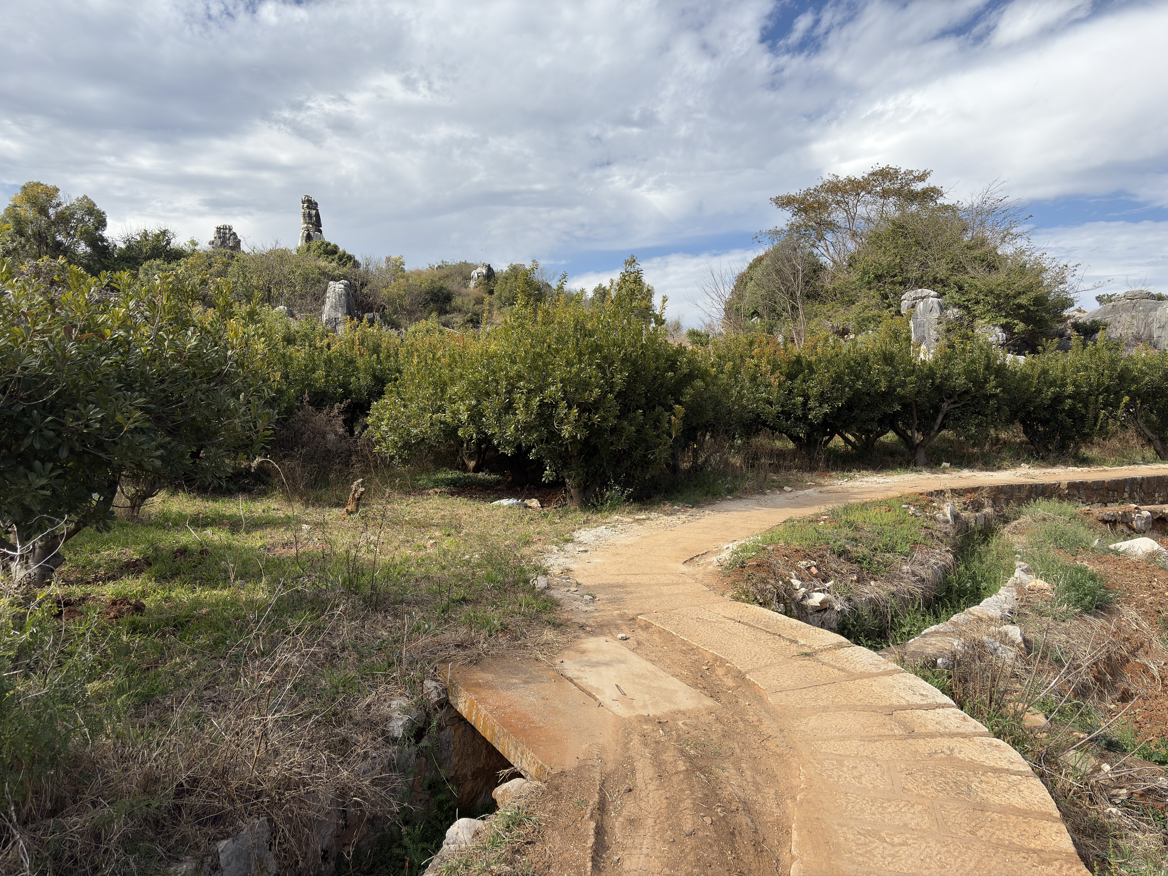 Picture China Shilin Stone Forest 2026-01 179 - Tours Shilin Stone Forest