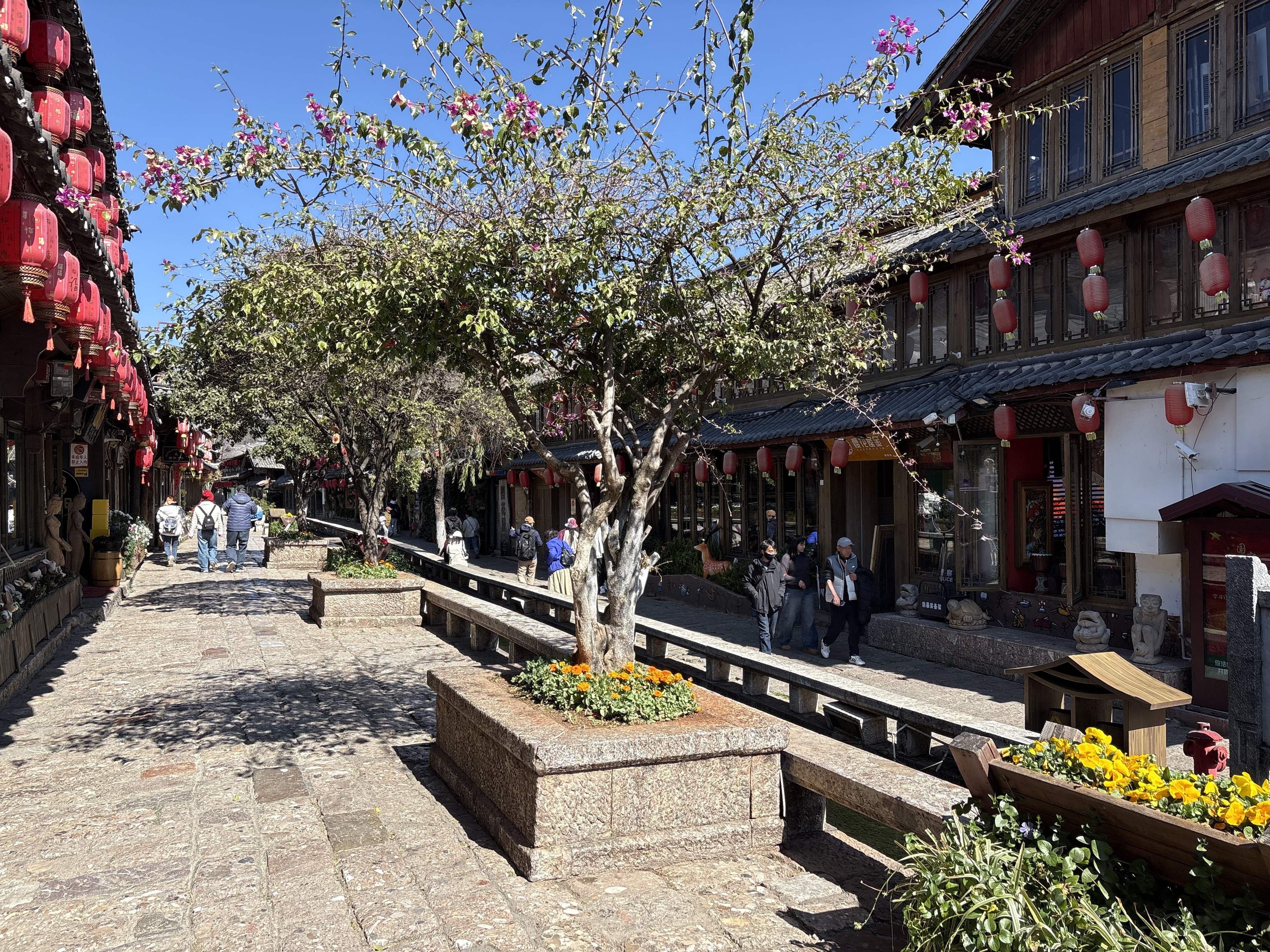 Picture China Lijiang 2026-01 201 - Recreation Lijiang