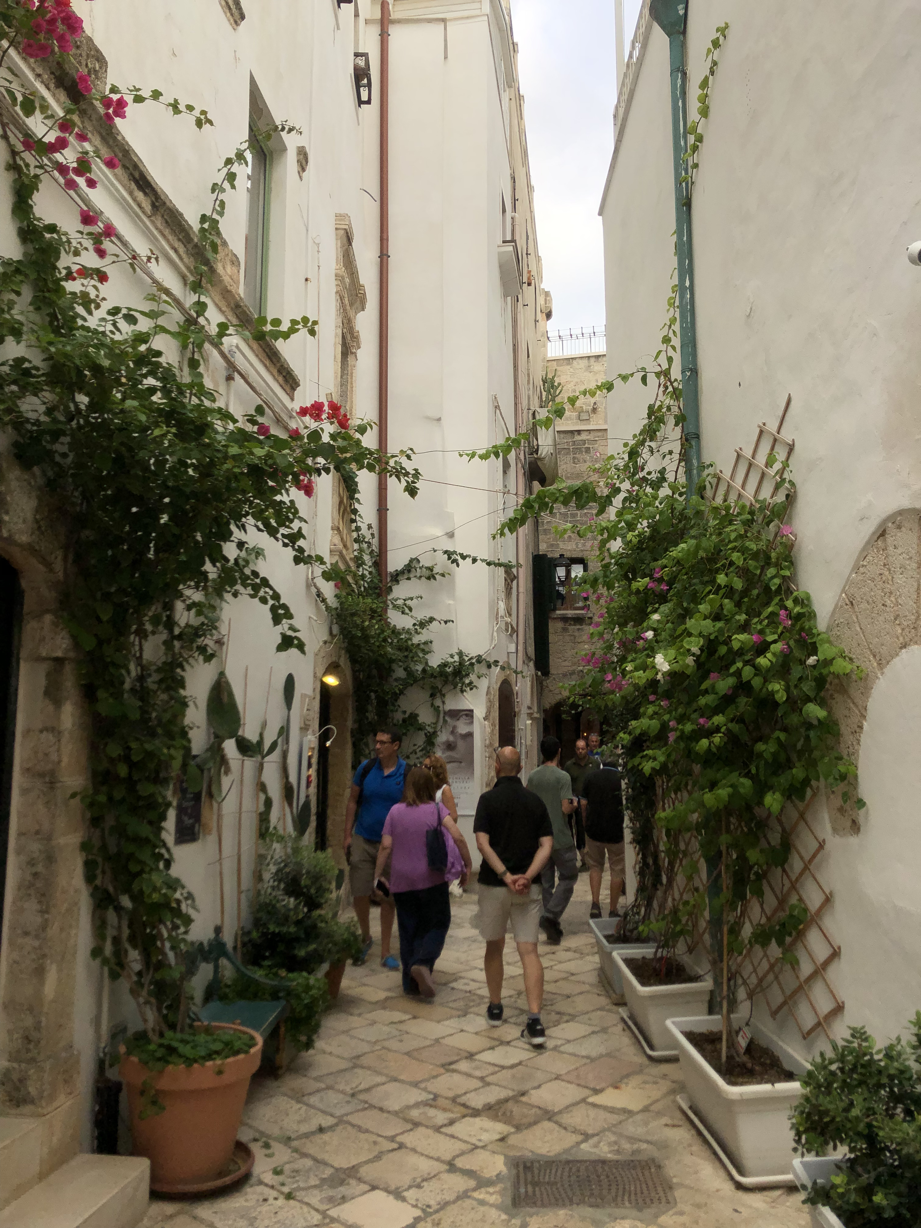 Picture Italy Polignano a mare 2024-09 39 - Around Polignano a mare
