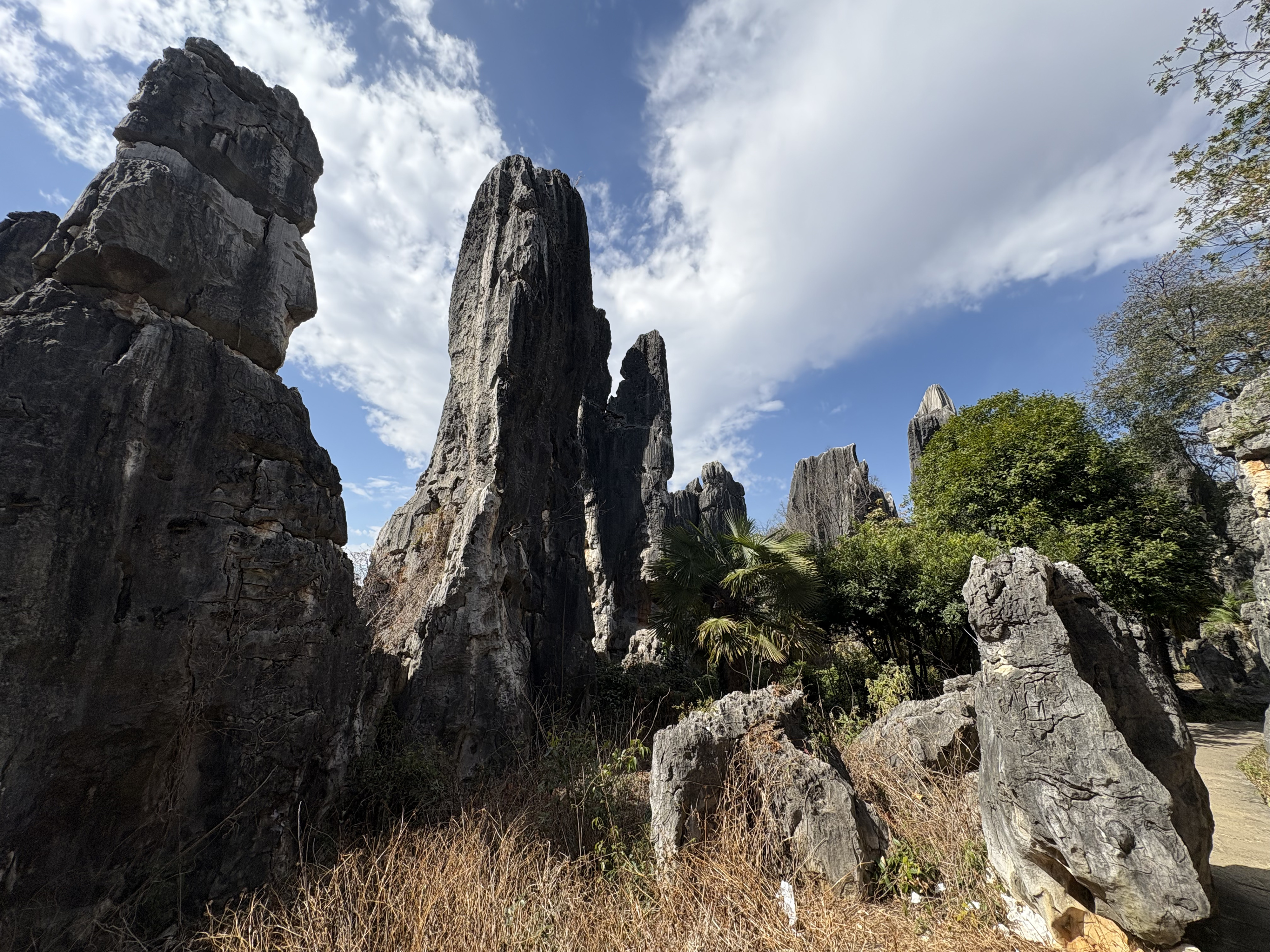 Picture China Shilin Stone Forest 2026-01 222 - Center Shilin Stone Forest