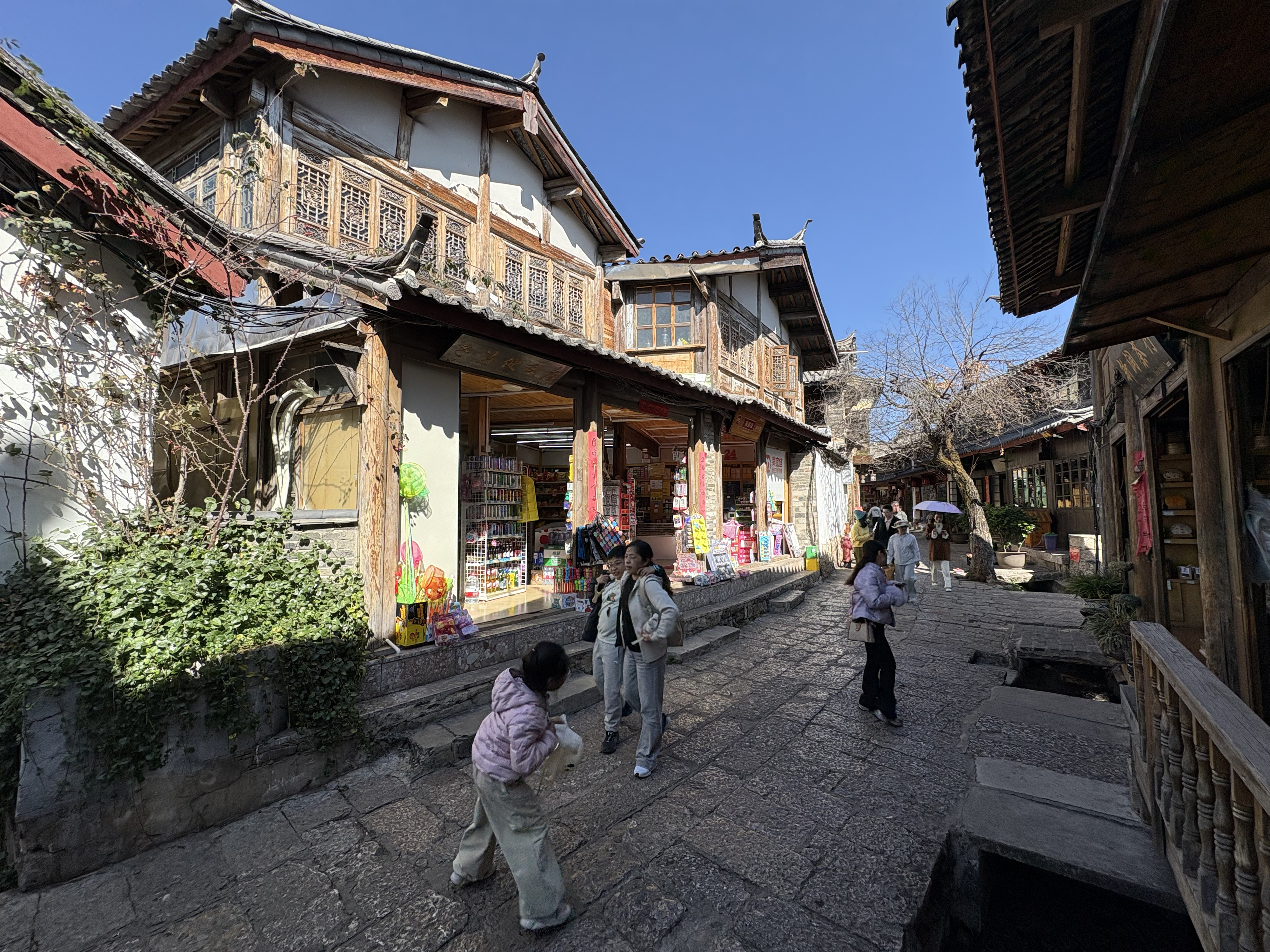 Picture China Lijiang 2026-01 408 - Center Lijiang
