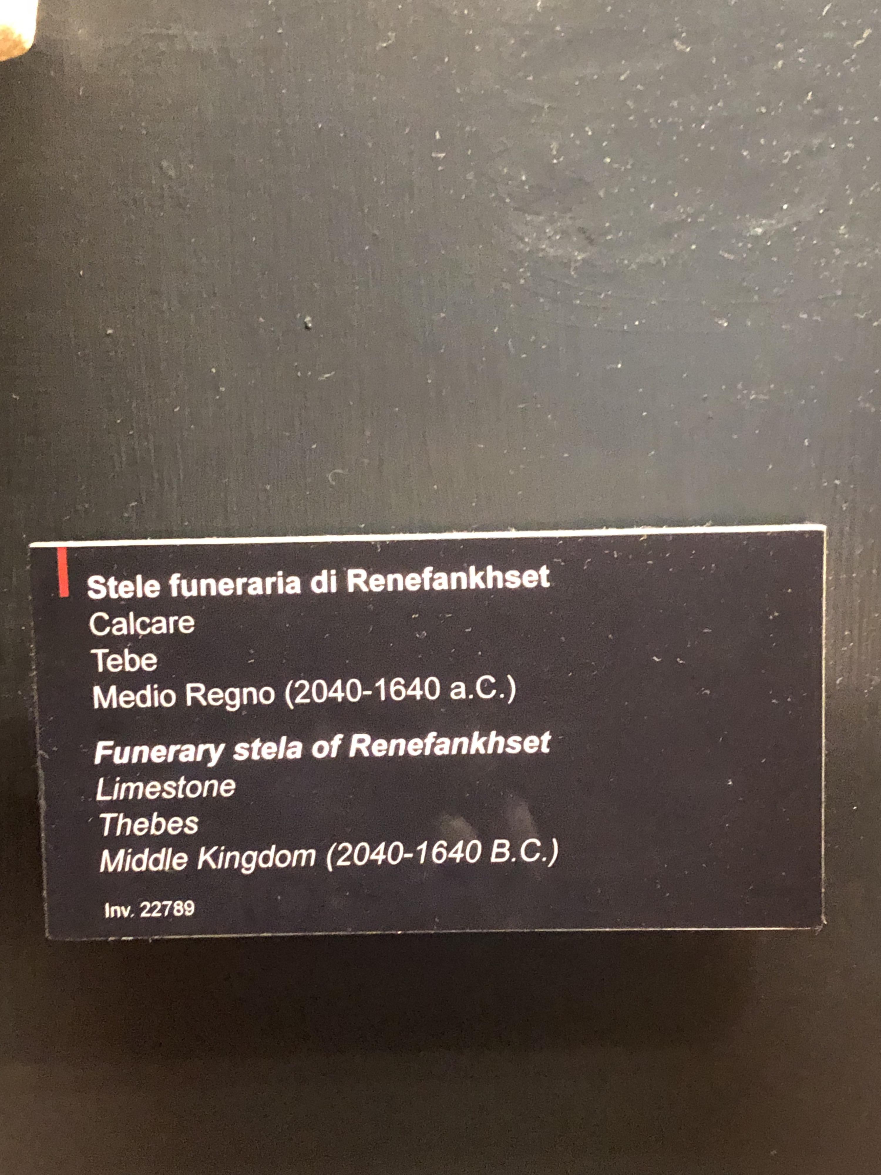 Picture Italy Rome Vatican Museum 2024-09 220 - Recreation Vatican Museum