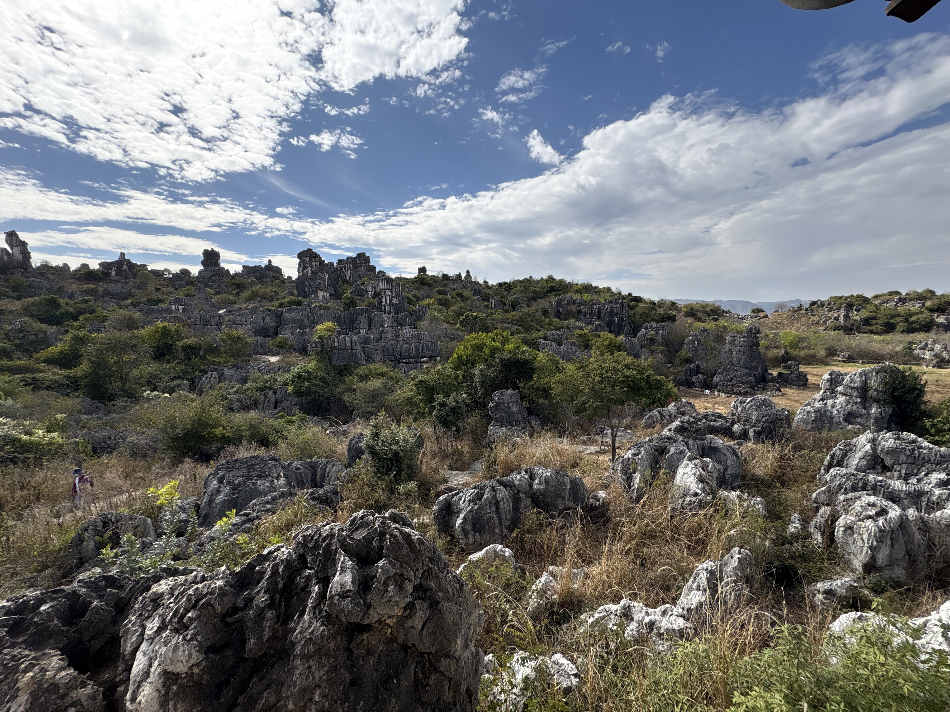 Picture China Shilin Stone Forest 2026-01 321 - Journey Shilin Stone Forest
