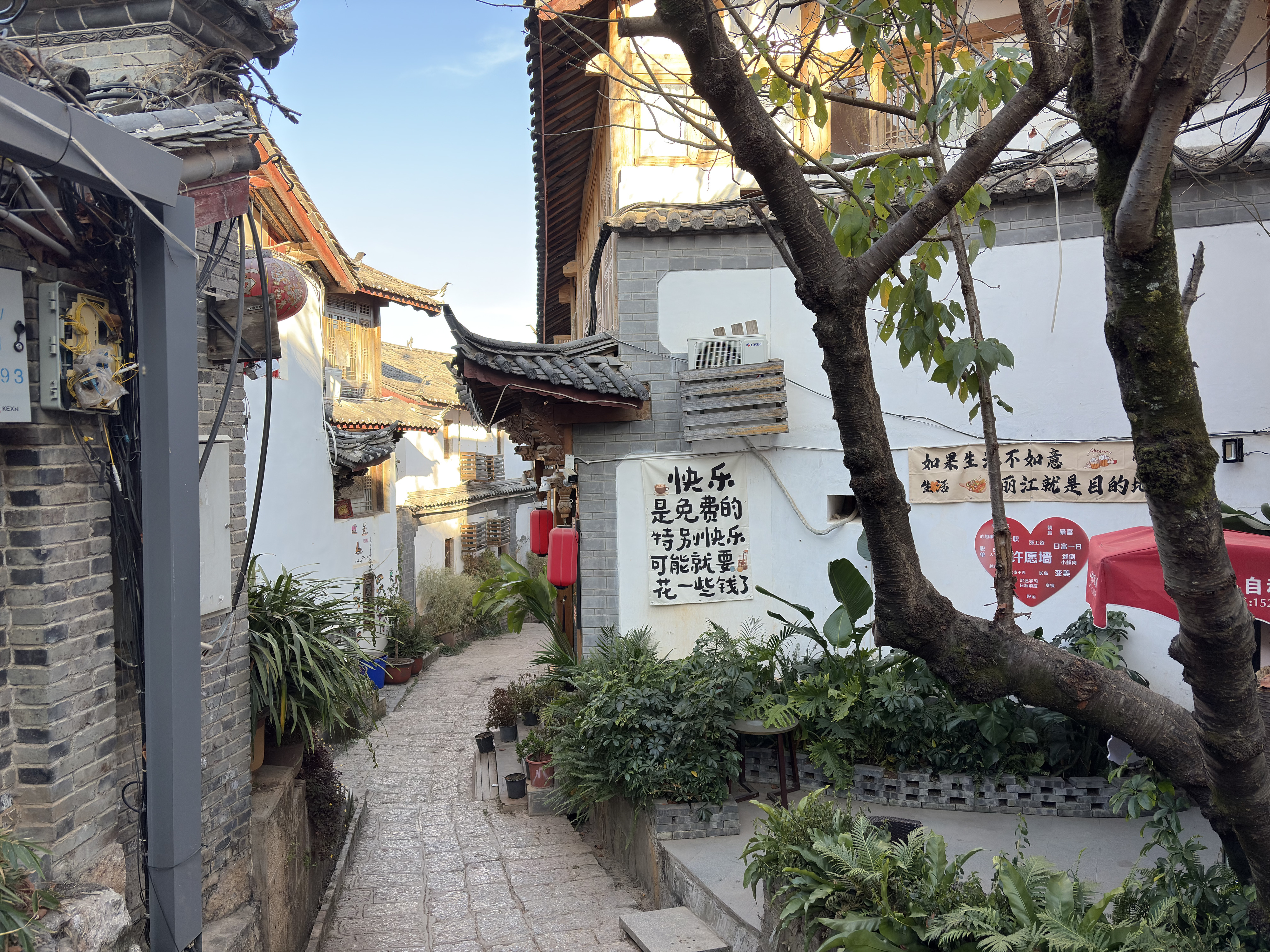 Picture China Lijiang 2026-01 15 - Journey Lijiang