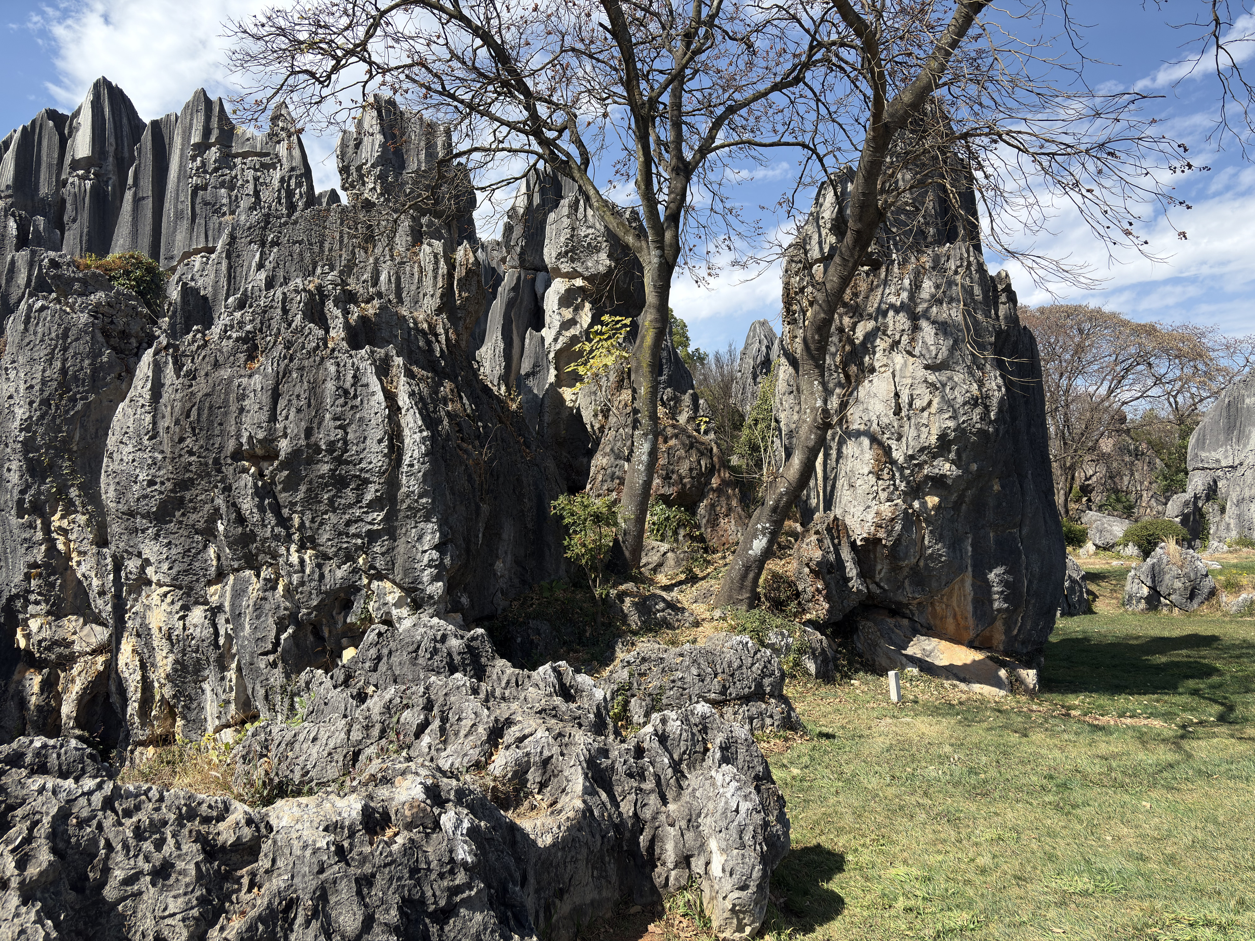 Picture China Shilin Stone Forest 2026-01 388 - Discovery Shilin Stone Forest