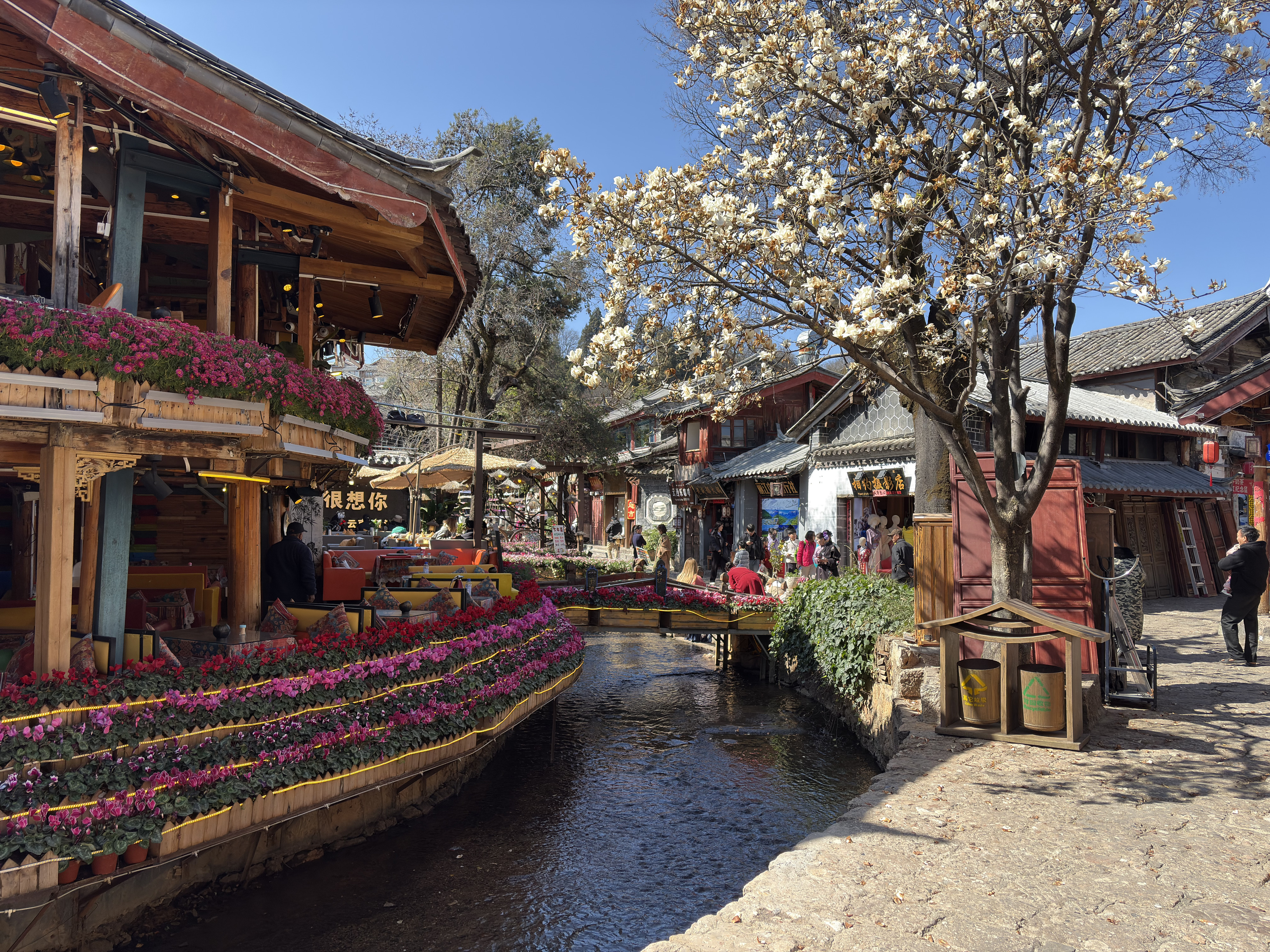 Picture China Lijiang 2026-01 499 - Tours Lijiang