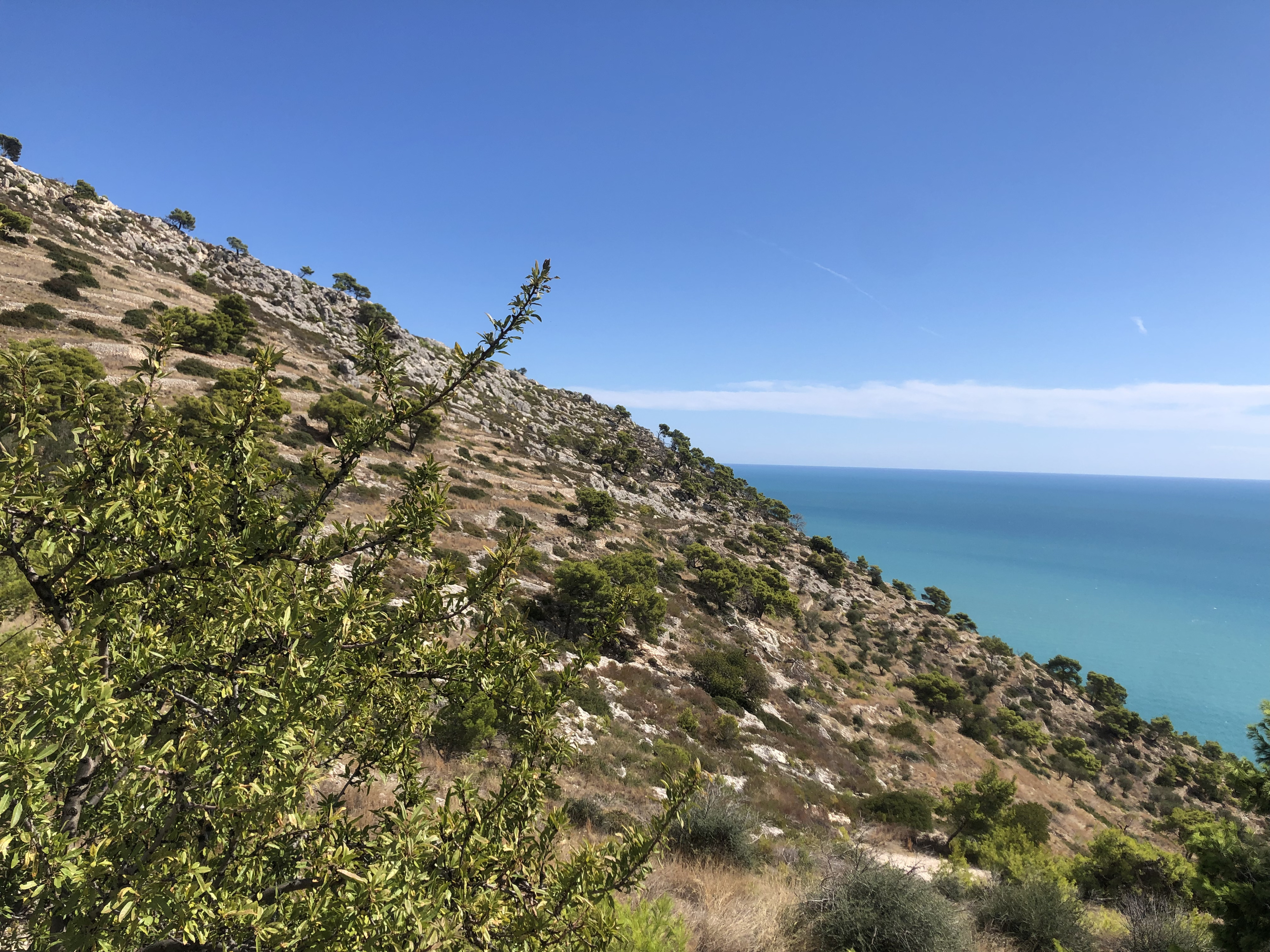Picture Italy Gargano 2024-09 28 - Journey Gargano