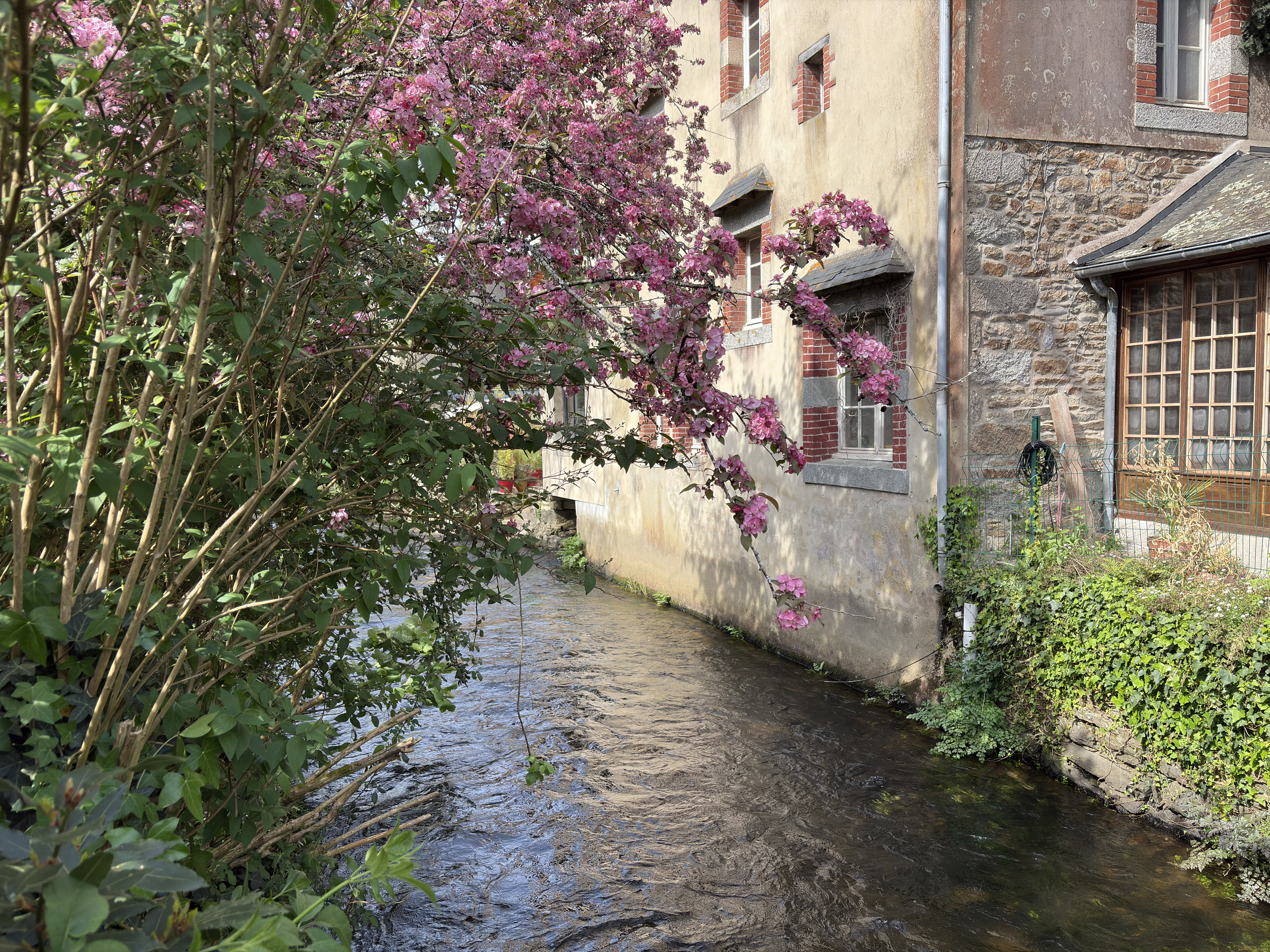 Picture France Pont Aven 2026-04 30 - Center Pont Aven