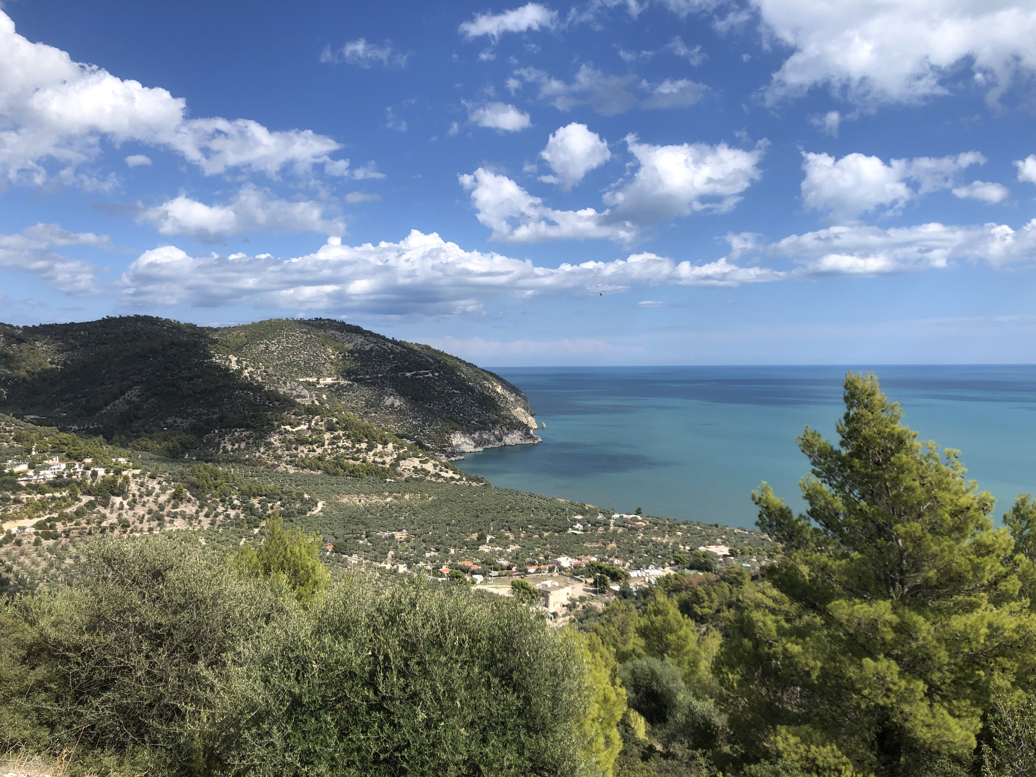 Picture Italy Gargano 2024-09 52 - History Gargano